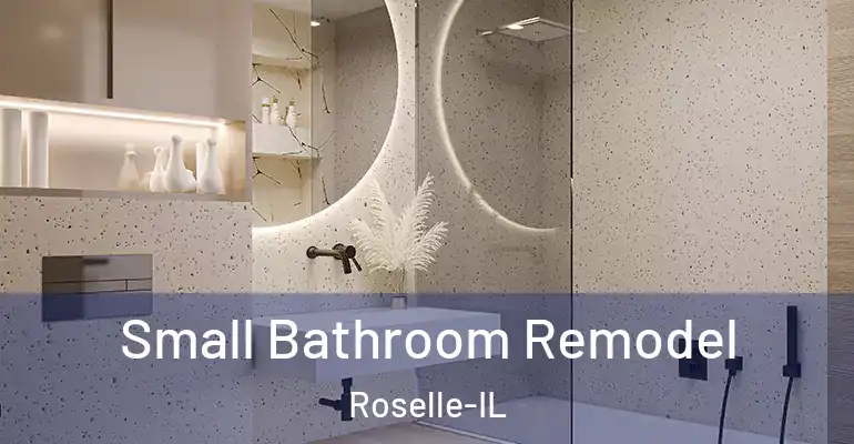 inner Bathroom imggen Small Bathroom Remodel Roselle-IL