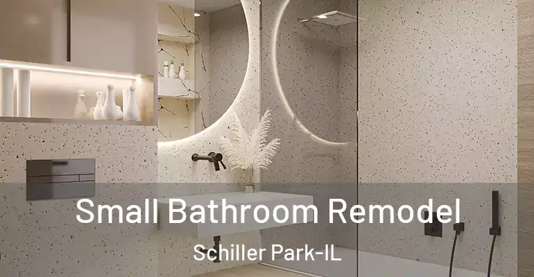 inner Bathroom imggen Small Bathroom Remodel Schiller Park-IL