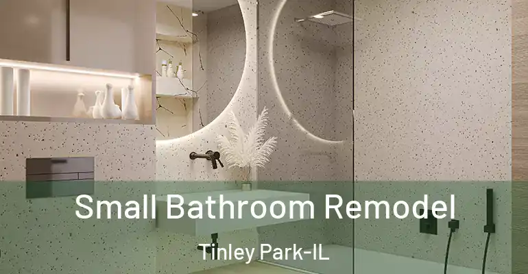 inner Bathroom imggen Small Bathroom Remodel Tinley Park-IL