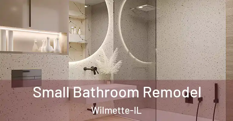 inner Bathroom imggen Small Bathroom Remodel Wilmette-IL