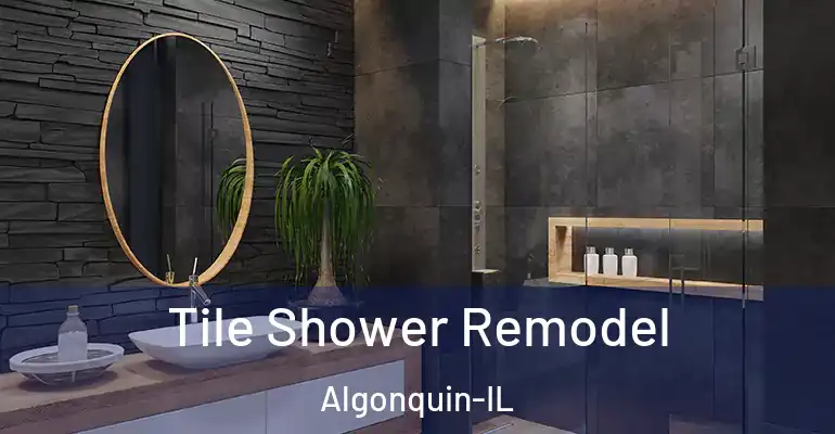 inner Bathroom imggen Tile Shower Remodel Algonquin-IL