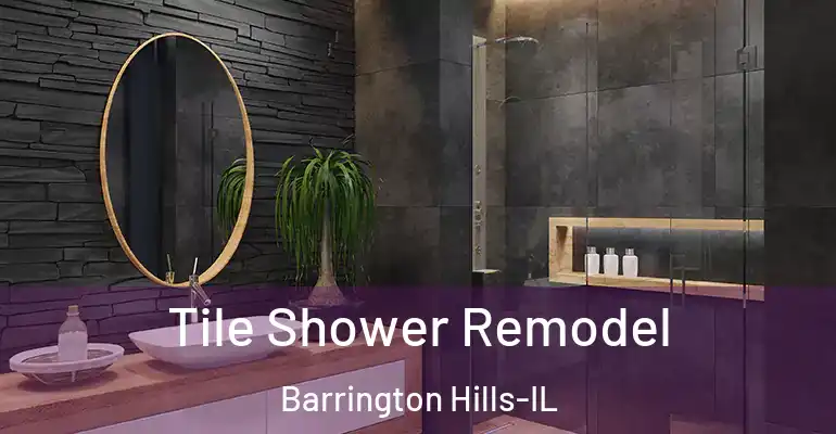 inner Bathroom imggen Tile Shower Remodel Barrington Hills-IL