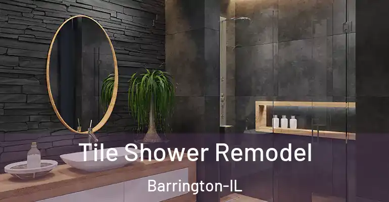 inner Bathroom imggen Tile Shower Remodel Barrington-IL