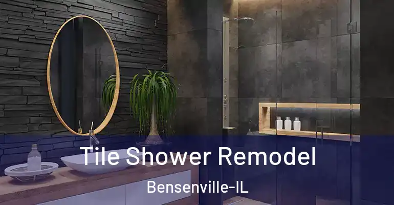 inner Bathroom imggen Tile Shower Remodel Bensenville-IL
