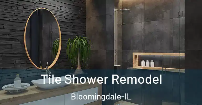 inner Bathroom imggen Tile Shower Remodel Bloomingdale-IL