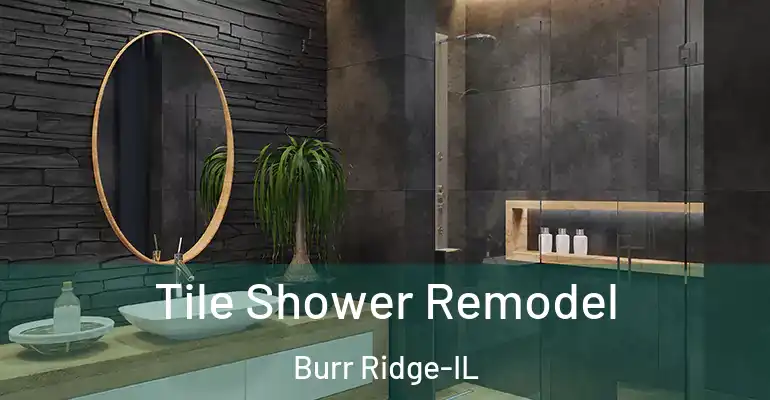 inner Bathroom imggen Tile Shower Remodel Burr Ridge-IL