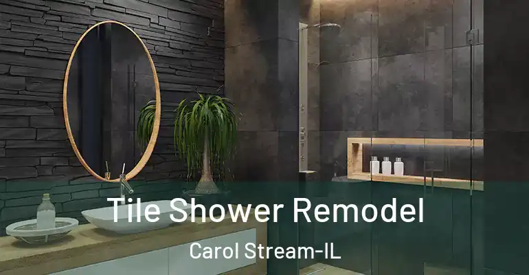 inner Bathroom imggen Tile Shower Remodel Carol Stream-IL
