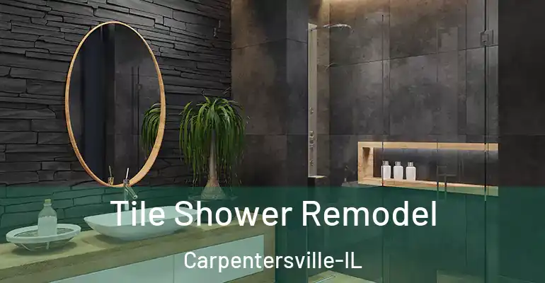 inner Bathroom imggen Tile Shower Remodel Carpentersville-IL