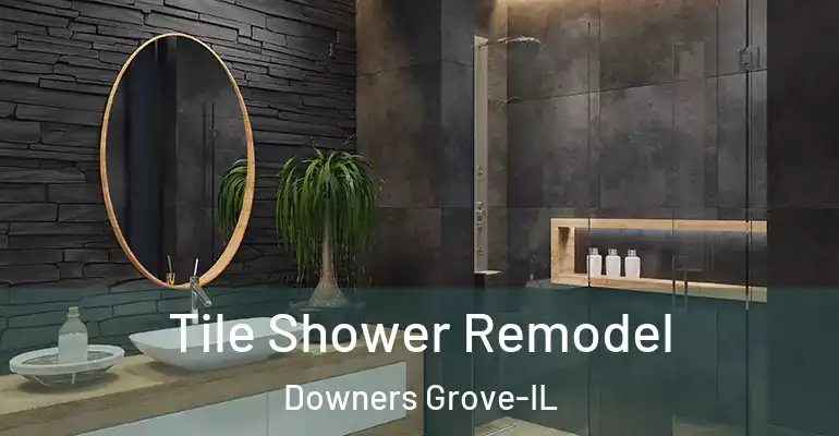 inner Bathroom imggen Tile Shower Remodel Downers Grove-IL