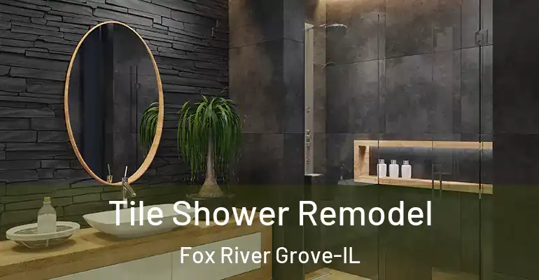 inner Bathroom imggen Tile Shower Remodel Fox River Grove-IL
