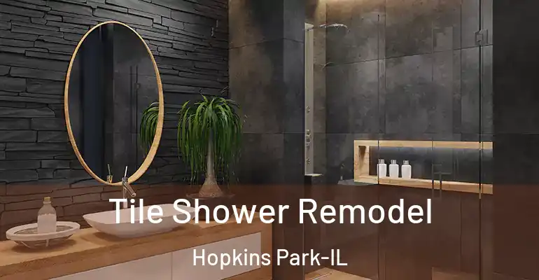 inner Bathroom imggen Tile Shower Remodel Hopkins Park-IL