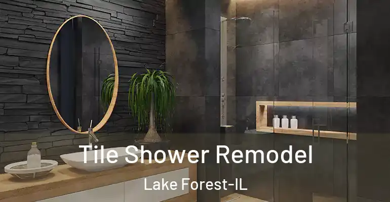 inner Bathroom imggen Tile Shower Remodel Lake Forest-IL