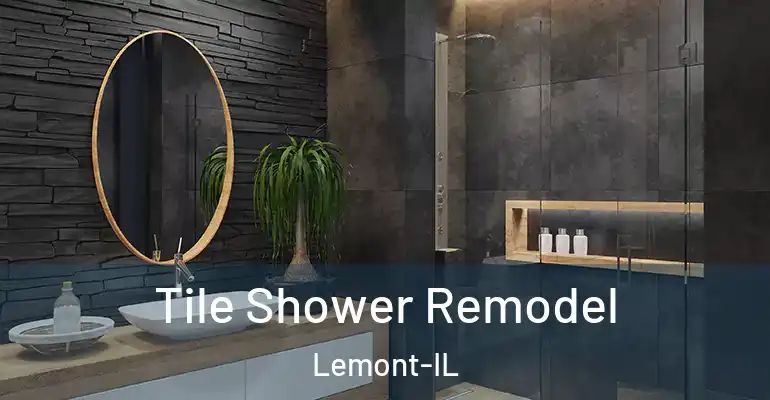 inner Bathroom imggen Tile Shower Remodel Lemont-IL