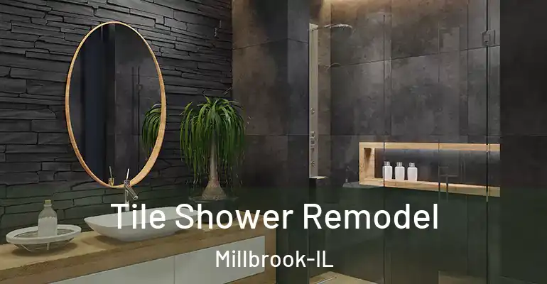 inner Bathroom imggen Tile Shower Remodel Millbrook-IL