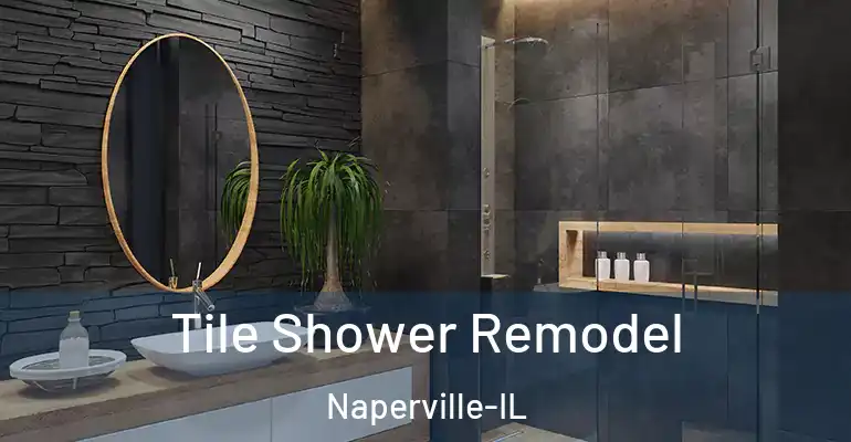 inner Bathroom imggen Tile Shower Remodel Naperville-IL