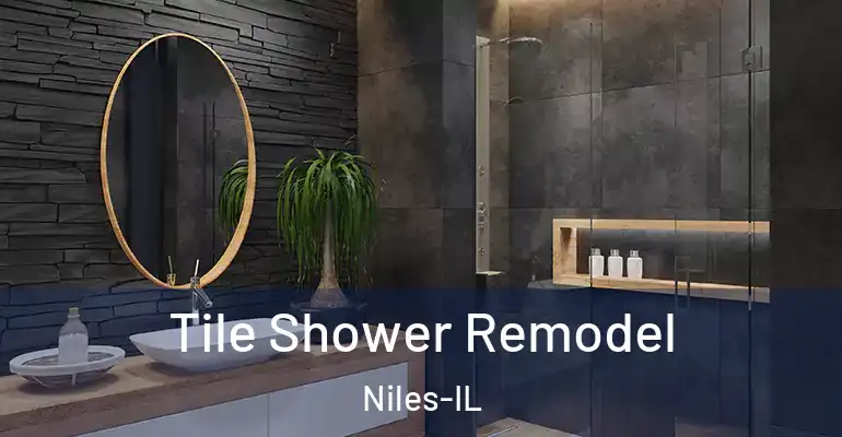 inner Bathroom imggen Tile Shower Remodel Niles-IL