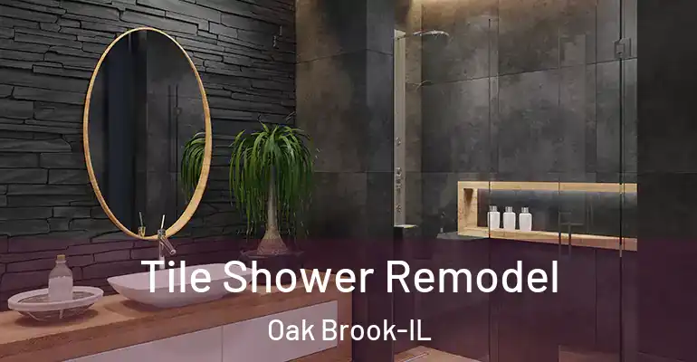 inner Bathroom imggen Tile Shower Remodel Oak Brook-IL