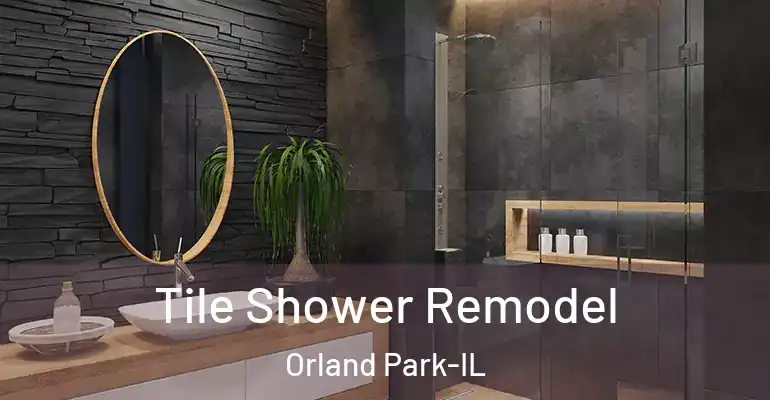 inner Bathroom imggen Tile Shower Remodel Orland Park-IL