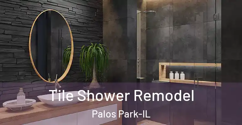 inner Bathroom imggen Tile Shower Remodel Palos Park-IL