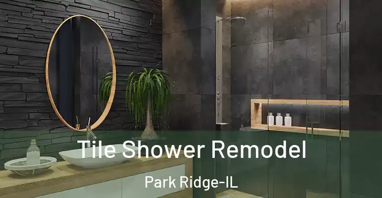 inner Bathroom imggen Tile Shower Remodel Park Ridge-IL