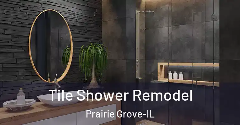 inner Bathroom imggen Tile Shower Remodel Prairie Grove-IL