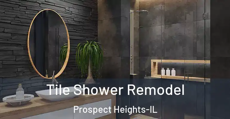 inner Bathroom imggen Tile Shower Remodel Prospect Heights-IL
