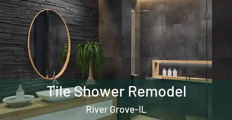 inner Bathroom imggen Tile Shower Remodel River Grove-IL