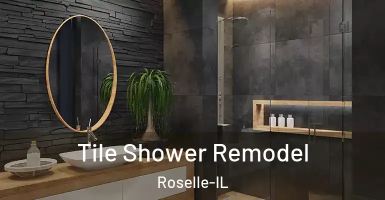 inner Bathroom imggen Tile Shower Remodel Roselle-IL