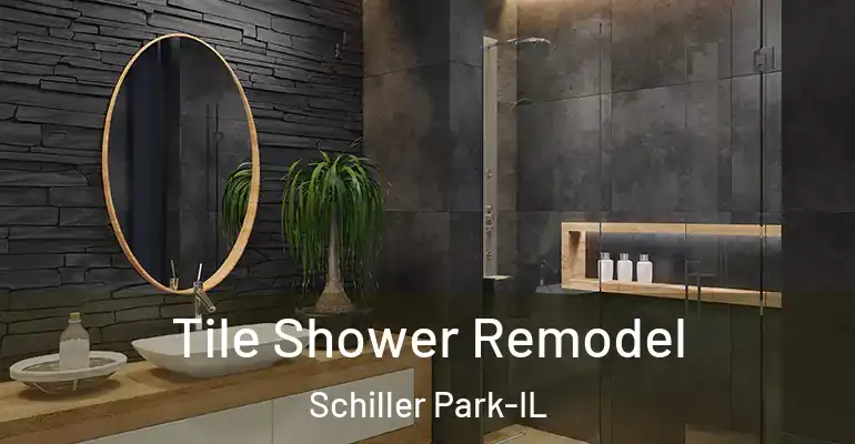 inner Bathroom imggen Tile Shower Remodel Schiller Park-IL