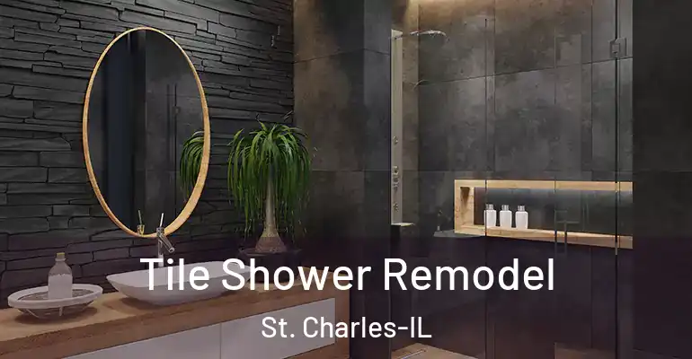 inner Bathroom imggen Tile Shower Remodel St. Charles-IL