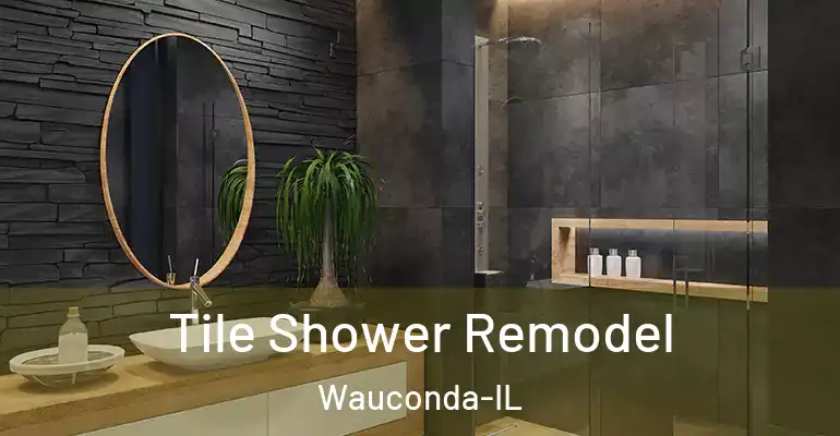 inner Bathroom imggen Tile Shower Remodel Wauconda-IL