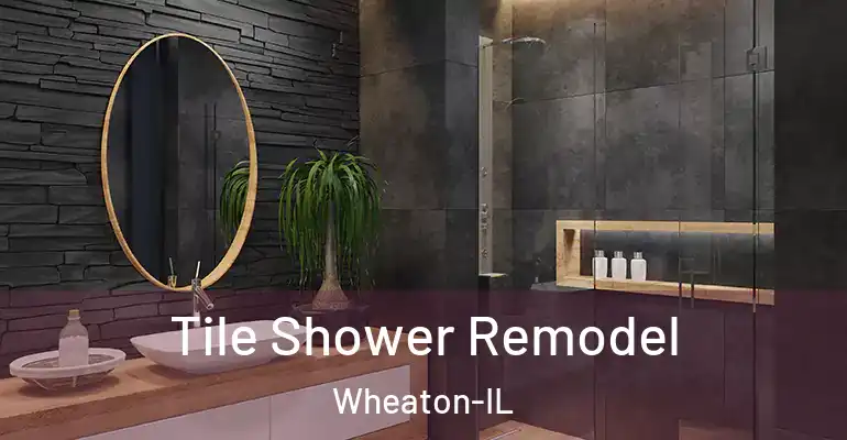 inner Bathroom imggen Tile Shower Remodel Wheaton-IL