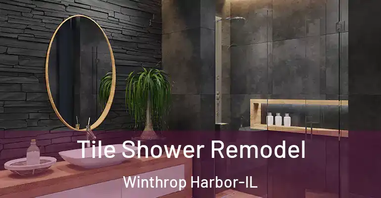 inner Bathroom imggen Tile Shower Remodel Winthrop Harbor-IL