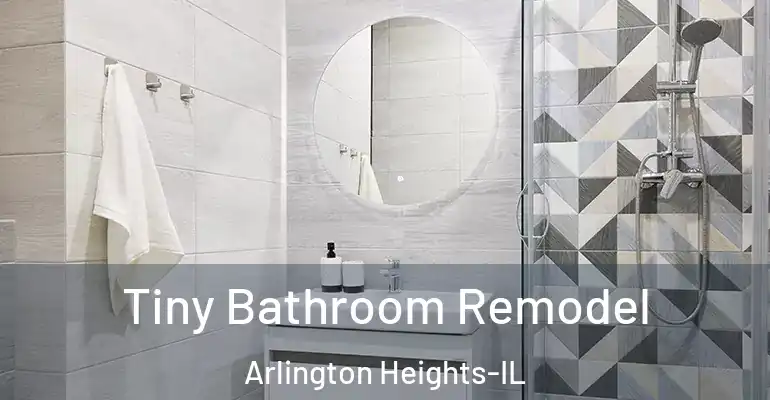 inner Bathroom imggen Tiny Bathroom Remodel Arlington Heights-IL