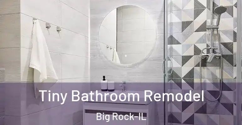 inner Bathroom imggen Tiny Bathroom Remodel Big Rock-IL