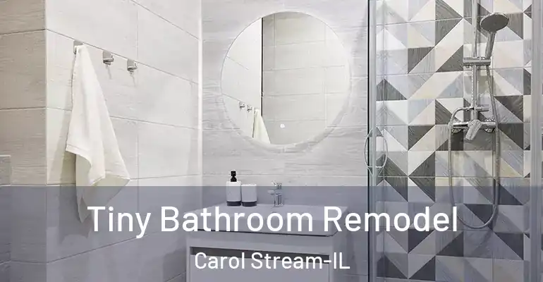 inner Bathroom imggen Tiny Bathroom Remodel Carol Stream-IL