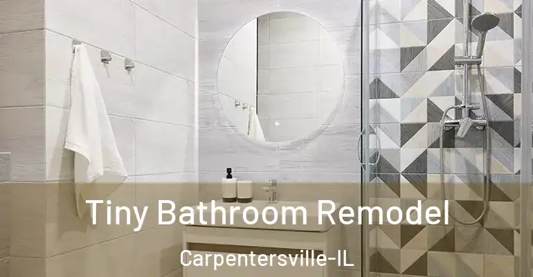 inner Bathroom imggen Tiny Bathroom Remodel Carpentersville-IL