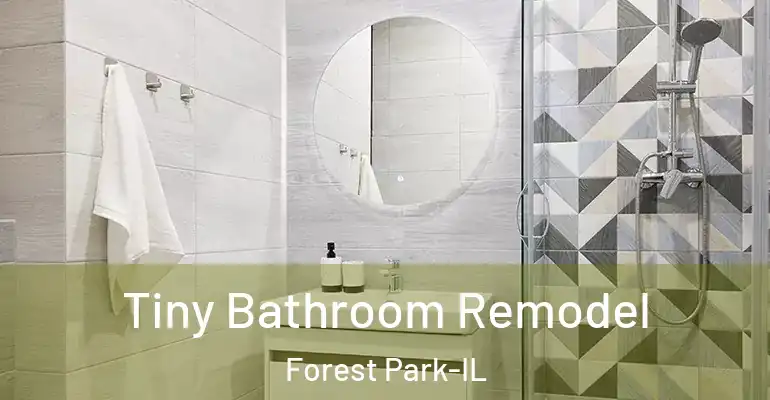 inner Bathroom imggen Tiny Bathroom Remodel Forest Park-IL