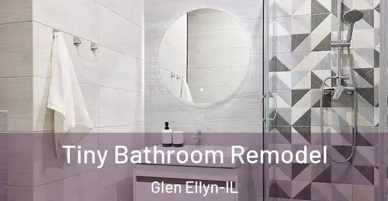 inner Bathroom imggen Tiny Bathroom Remodel Glen Ellyn-IL