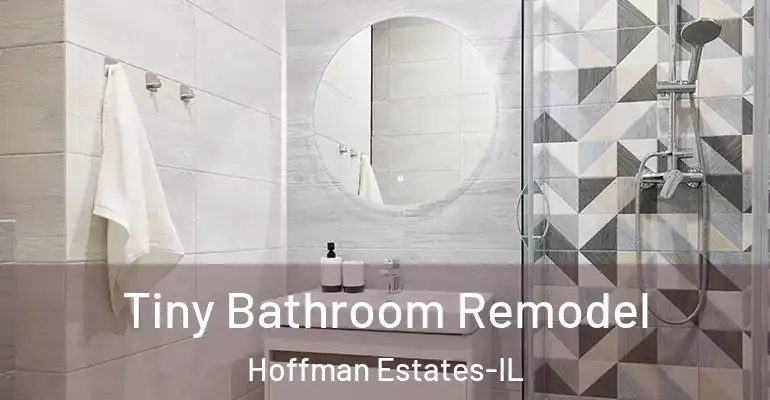inner Bathroom imggen Tiny Bathroom Remodel Hoffman Estates-IL