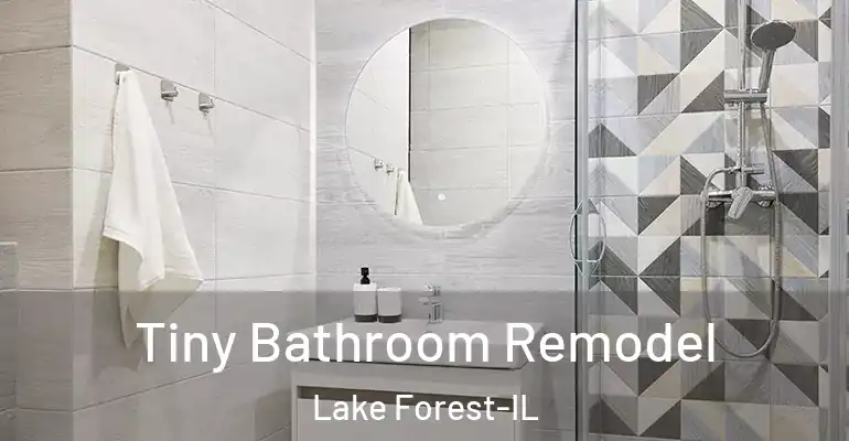 inner Bathroom imggen Tiny Bathroom Remodel Lake Forest-IL