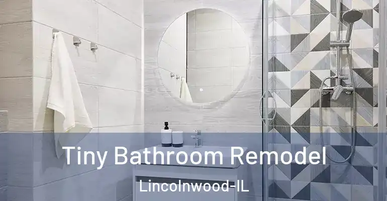 inner Bathroom imggen Tiny Bathroom Remodel Lincolnwood-IL