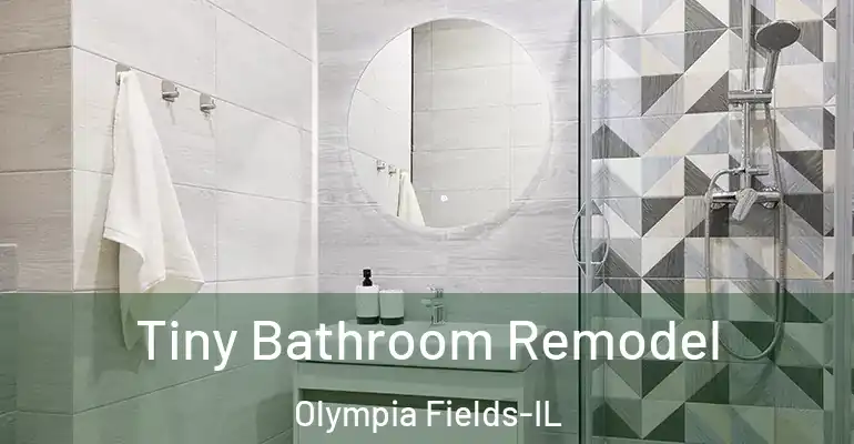 inner Bathroom imggen Tiny Bathroom Remodel Olympia Fields-IL