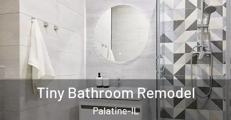 inner Bathroom imggen Tiny Bathroom Remodel Palatine-IL
