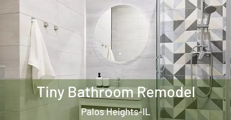 inner Bathroom imggen Tiny Bathroom Remodel Palos Heights-IL
