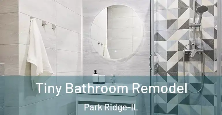 inner Bathroom imggen Tiny Bathroom Remodel Park Ridge-IL