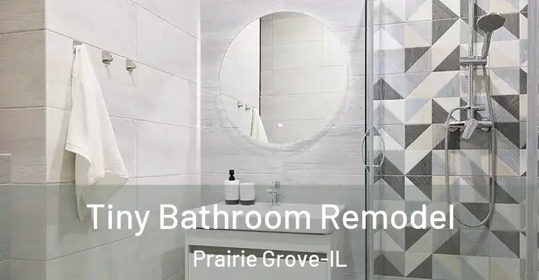 inner Bathroom imggen Tiny Bathroom Remodel Prairie Grove-IL