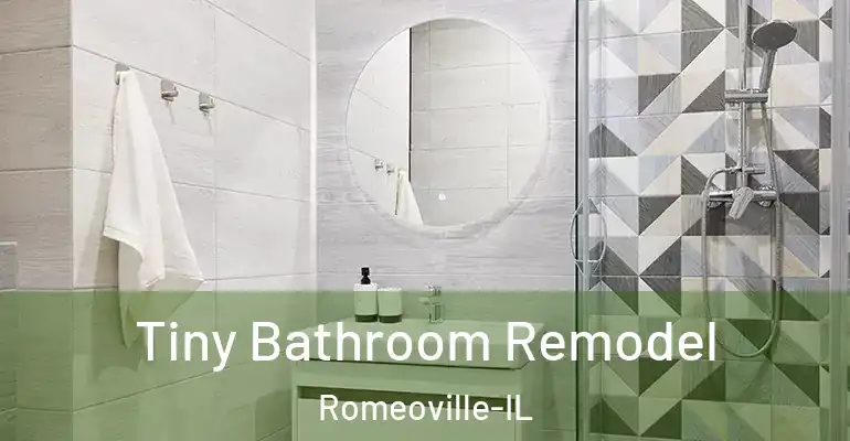 inner Bathroom imggen Tiny Bathroom Remodel Romeoville-IL