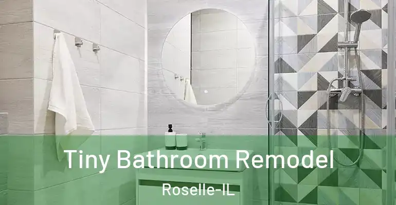 inner Bathroom imggen Tiny Bathroom Remodel Roselle-IL