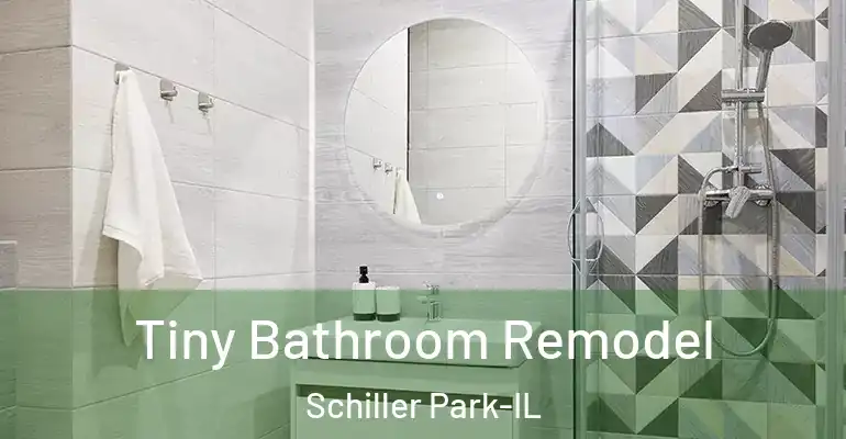 inner Bathroom imggen Tiny Bathroom Remodel Schiller Park-IL